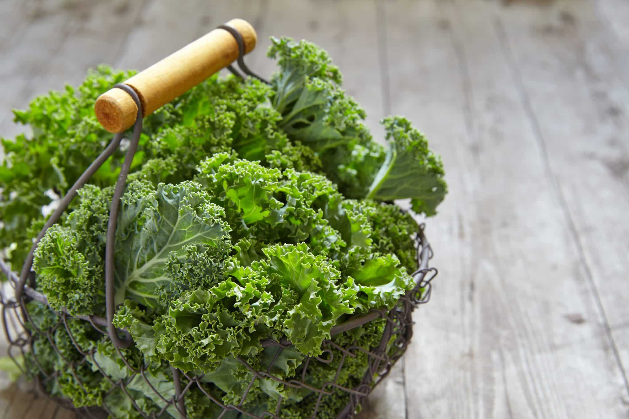 Can Kale Go Bad? - Can It Go Bad?